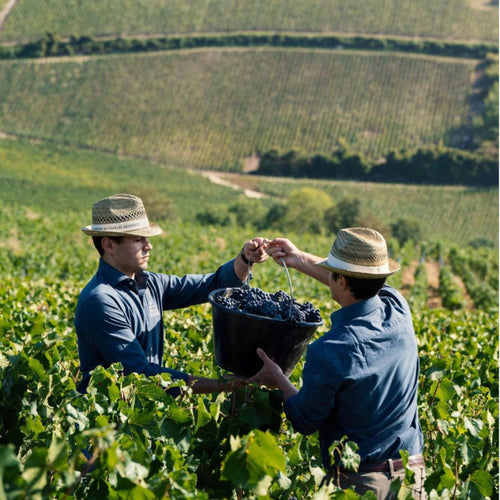 Charles Heidsieck Champagne Dinner