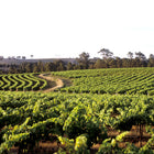 Australian Winemaker Dinner with Larry Cherrubino