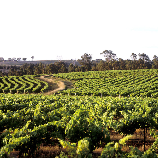 Australian Winemaker Dinner with Larry Cherrubino