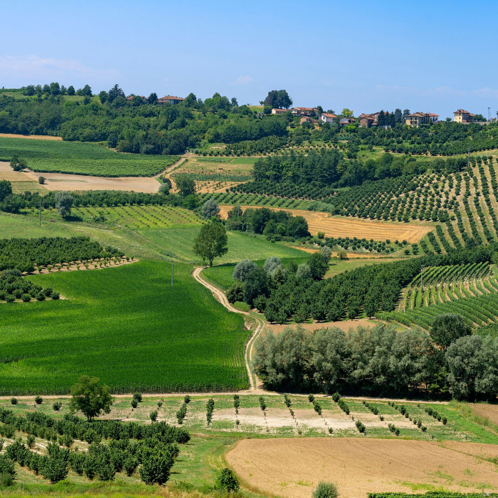 Marchesi Antinori Wine Dinner