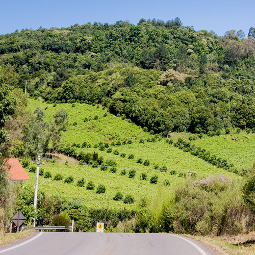 Rioja - Enduring And Endearing One Of The UK's All-Time Favourite Wines