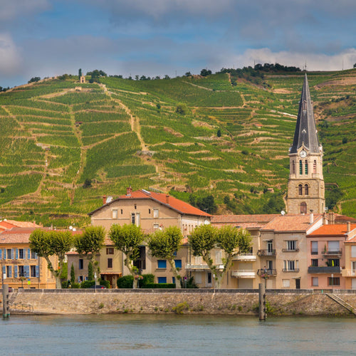 Journey Through The Rhone Fine Wine Tasting & Dinner