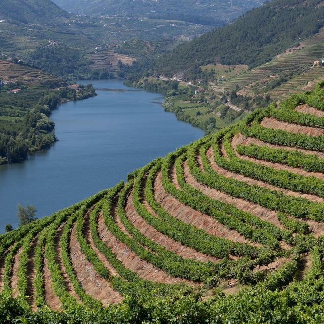 Portuguese Winemaker Dinner with Rui Santil