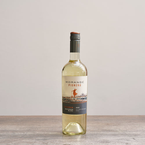 Morandé, Pionero Sauvignon Blanc